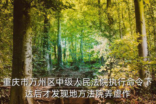 重慶市萬州區中級人民法院執行命令下達后才發現地方法院弄虛作
