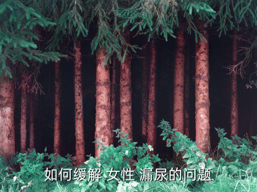 如何緩解 女性 漏尿的問題