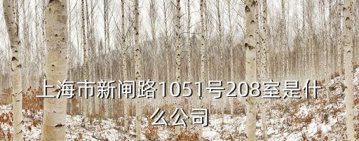 上海市大國重器，上海市凱旋路3500號1號樓14F是什么公司