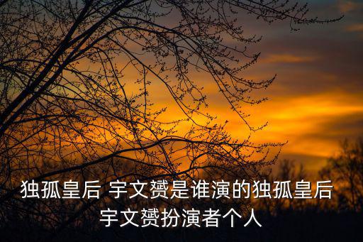 宇文贇,北周武帝宇文雍之子宇文顏即位