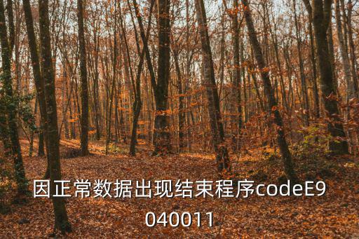 因正常數據出現結束程序codeE9040011