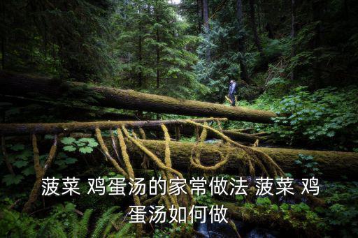  菠菜 雞蛋湯的家常做法 菠菜 雞蛋湯如何做