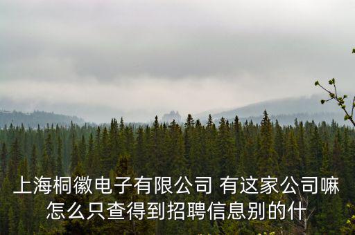 上海桐徽電子有限公司 有這家公司嘛怎么只查得到招聘信息別的什