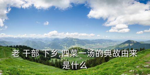 干部下鄉(xiāng),下鄉(xiāng)調(diào)查解決農(nóng)民看病難看病貴等問題