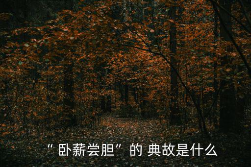 臥薪嘗膽的典故,第二集:臥薪嘗膽第一集