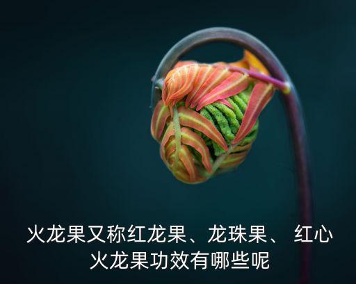 紅心火龍果功效,每天一個紅心火龍果有助控制體重
