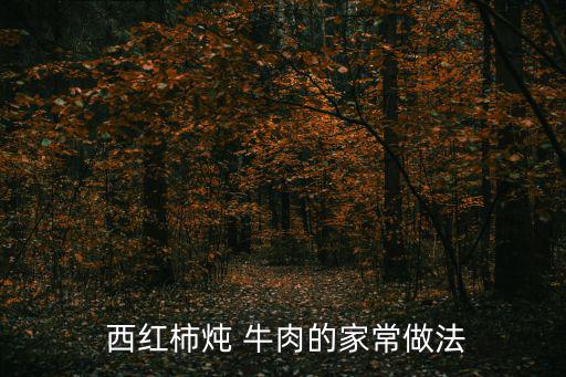  西紅柿燉 牛肉的家常做法