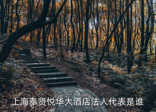 上海奉賢悅?cè)A大酒店法人代表是誰(shuí)
