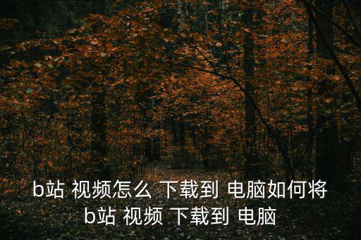 b站 視頻怎么 下載到 電腦如何將b站 視頻 下載到 電腦