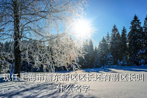 現(xiàn)任上海市浦東新區(qū)區(qū)長還有副區(qū)長叫什么名字
