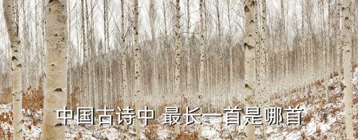 最長的詩,第一次上朝廷的人被稱為王瑞杰