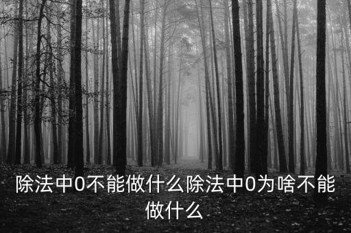 除法中0不能做什么除法中0為啥不能做什么