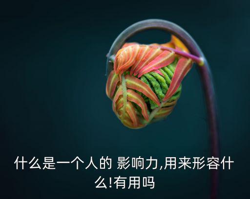 個(gè)人影響力,選擇適合自己的職業(yè)和專業(yè)能力成為大贏家