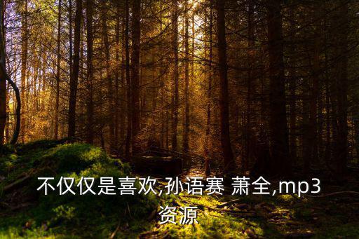 不僅僅是喜歡,孫語賽 蕭全,mp3資源