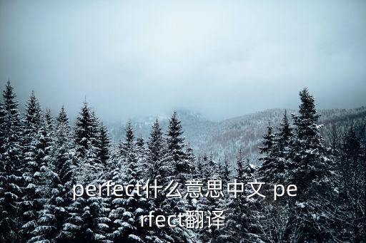  perfect什么意思中文 perfect翻譯