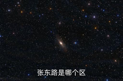 張東路是哪個區