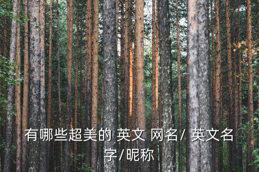 有哪些超美的 英文 網名/ 英文名字/昵稱