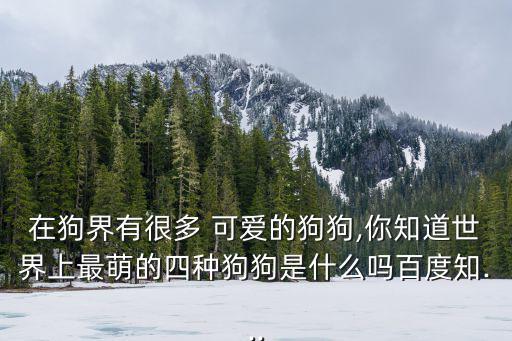 可愛狗狗,最可愛的狗狗之一!看起來像個小精靈