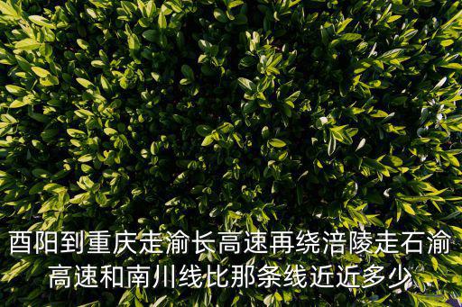 酉陽到重慶走渝長高速再繞涪陵走石渝高速和南川線比那條線近近多少