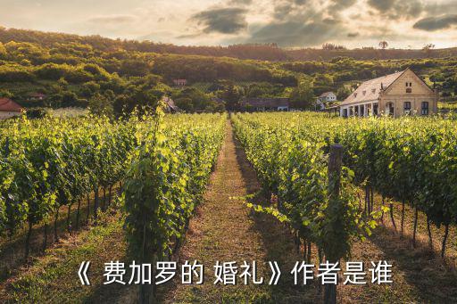 費(fèi)加羅的婚禮,莫扎特完成首部意大利歌劇創(chuàng)作
