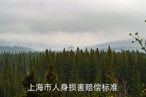上海市人身損害賠償標準