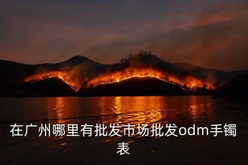 在廣州哪里有批發市場批發odm手鐲表