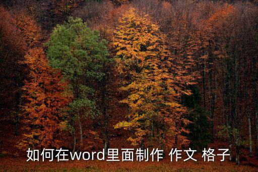 如何在word里面制作 作文 格子