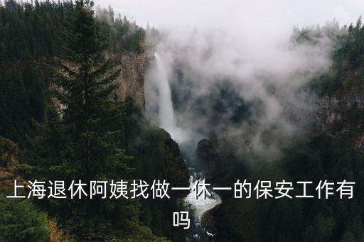 上海退休阿姨找做一休一的保安工作有嗎