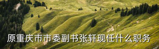 原重慶市市委副書張軒現任什么職務