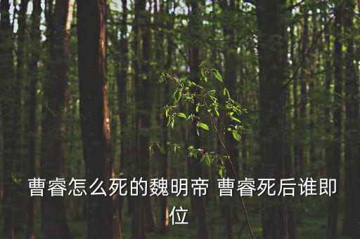  曹睿怎么死的魏明帝 曹睿死后誰即位