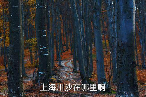 上海川沙在哪里啊