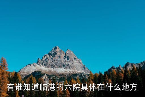 有誰(shuí)知道臨港的六院具體在什么地方