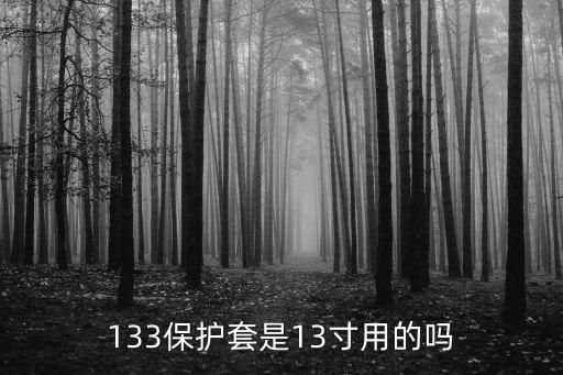 133保護套是13寸用的嗎