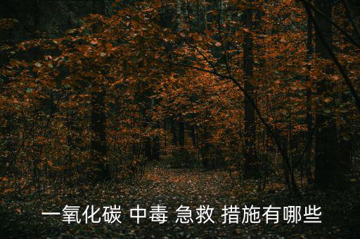  一氧化碳 中毒 急救 措施有哪些
