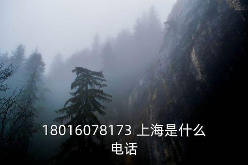 上海市豐茂精細(xì)化工電話，18016078173 上海是什么電話