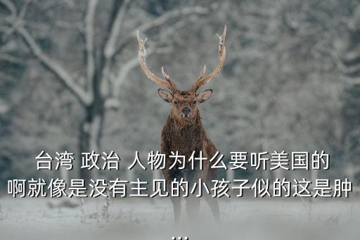 臺灣政治人物,臺灣歷史人物邱毅投身政壇
