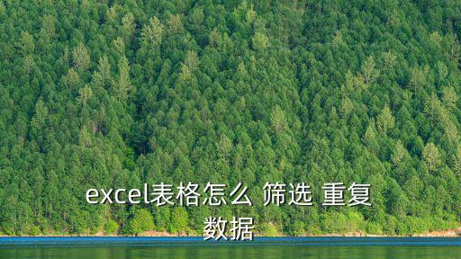  excel表格怎么 篩選 重復(fù) 數(shù)據(jù)