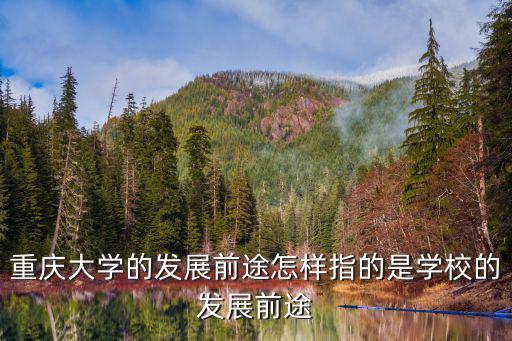 重慶大學的發展前途怎樣指的是學校的發展前途