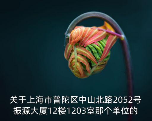 關(guān)于上海市普陀區(qū)中山北路2052號(hào)振源大廈12樓1203室那個(gè)單位的