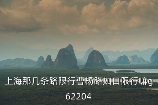 上海那幾條路限行曹楊路如口限行嘛g62204