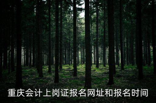 重慶會計上崗證報名網址和報名時間
