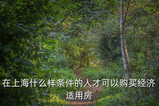 在上海什么樣條件的人才可以購買經濟適用房