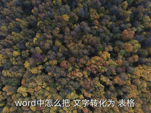 word中怎么把 文字轉化為 表格