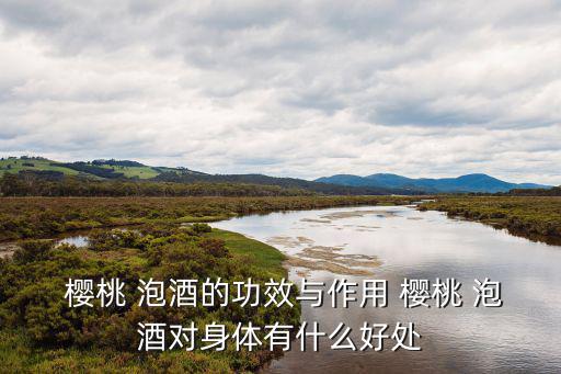  櫻桃 泡酒的功效與作用 櫻桃 泡酒對身體有什么好處