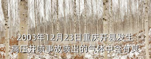 2003年12月23日重慶開縣發(fā)生高壓井噴事故噴出的氣體中含有臭
