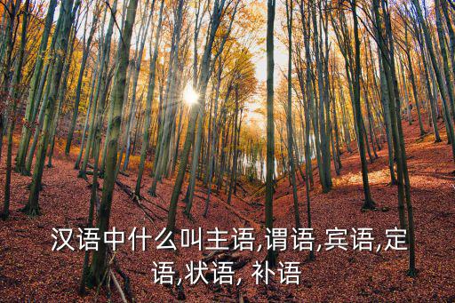  漢語中什么叫主語,謂語,賓語,定語,狀語, 補語