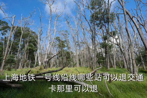 上海地鐵一號(hào)線沿線哪些站可以退交通卡那里可以退