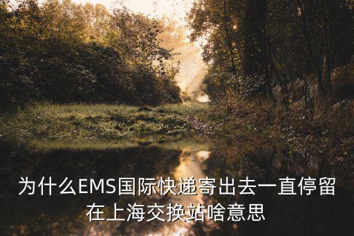 為什么EMS國際快遞寄出去一直停留在上海交換站啥意思