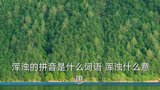  渾濁的拼音是什么詞語 渾濁什么意思