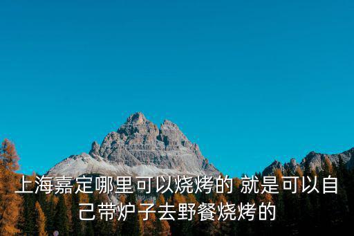 上海嘉定哪里可以燒烤的 就是可以自己帶爐子去野餐燒烤的